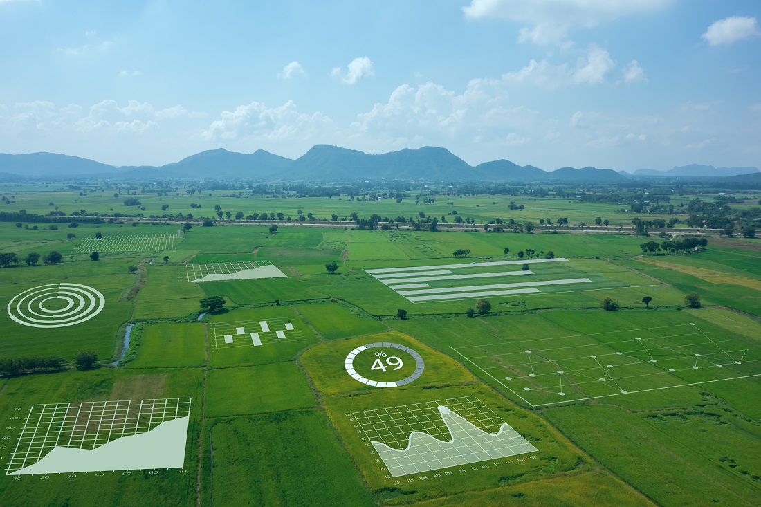 Aerial view of Australian farmland