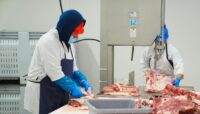 Workers in meat processing