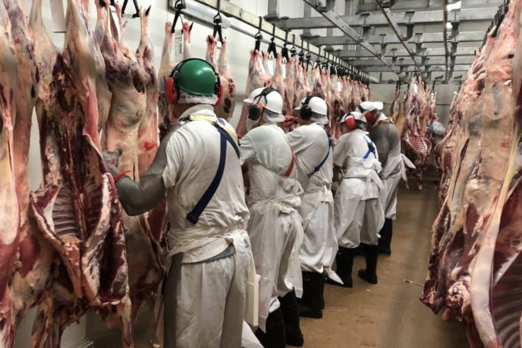 Meat processing workers on the chain