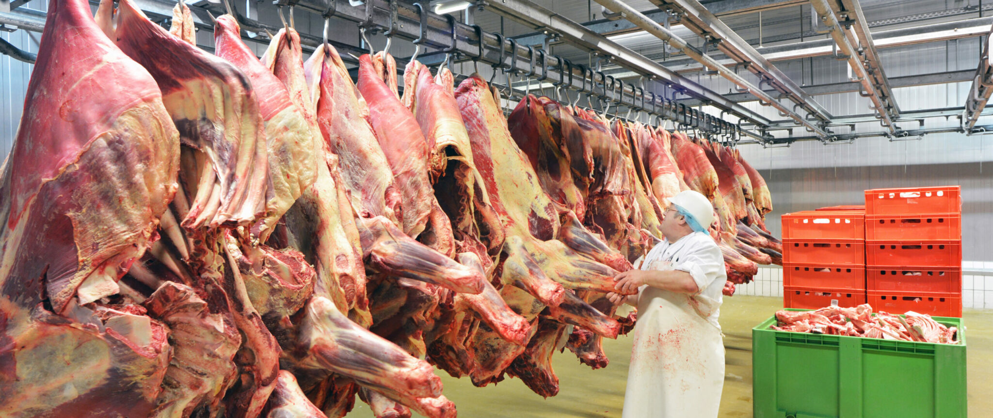 Meat processing plant floor, the setting for a Response 482 skills assessment